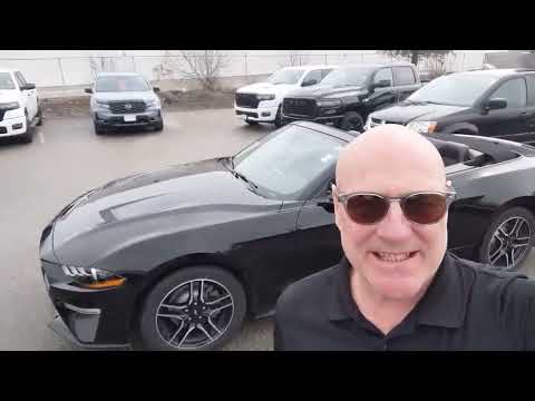 2023 Ford Mustang EcoBoost Convertible in Shadow Black for sale at Kitchener Chrysler Dodge Jeep Ram in Kitchener, ON