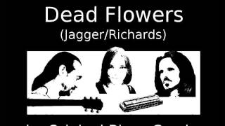 Dead Flowers (Jagger/Richards) by Original Blues Combo