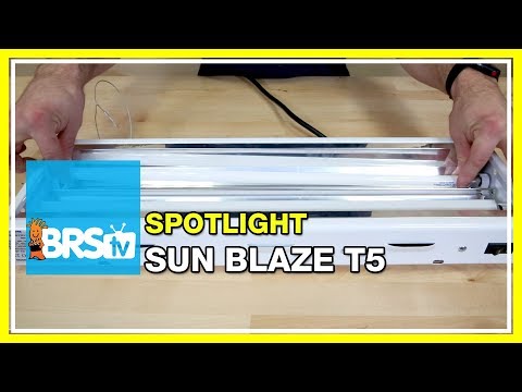 Spotlight on the Sun Blaze T5 fixture as a refugium light | BRStv