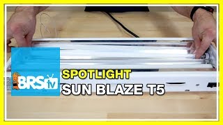 Spotlight on the Sun Blaze T5 fixture as a refugium light - BRStv