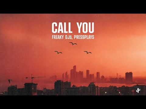 Freaky DJs, Pressplay - Call You