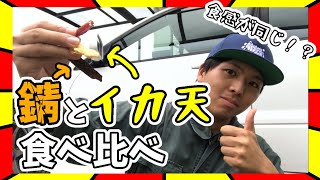錆とイカ天食べ比べしてみた！