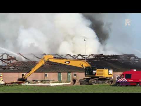 Grote brand Streefkerk: vrijwel alle 1500 varkens omgekomen