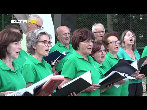 BL HRONIKA 28 06 22 - DAN SLOVENACA