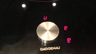 Gaggenau April 8 2016 error video