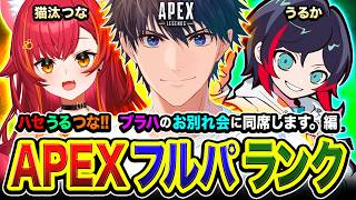 【APEXランク】検知でPON！夏夜のラストスキャンDAY！ブラハのお別れ会に同席します。編！ 猫汰つな, うるか【ハセシン】Apex Legends