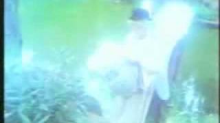 true love....-....george harrison