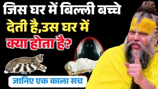 Download lagu अगर आपके भी घर में बिल्ली बच्चे देती है तो हो जाओ सावधान | Premanand Ji Maharaj mp3