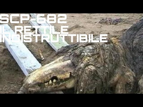 Scp 682 (Il rettile indistruttibile) | Documento ITA