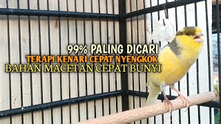 Download lagu kenari gacor panjang Cuit Cuit EMOSI, Pancingan Kenari Paud Belajar Bunyi, terapi AMPUH Kenari MACET mp3 Download lagu kenari gacor panjang Cuit Cuit EMOSI, Pancingan Kenari Paud Belajar Bunyi, terapi AMPUH Kenari MACET mp3
