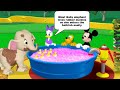 Mickey Mouse Clubhouse Daisy S Pet Project Oh Toodles Compilation