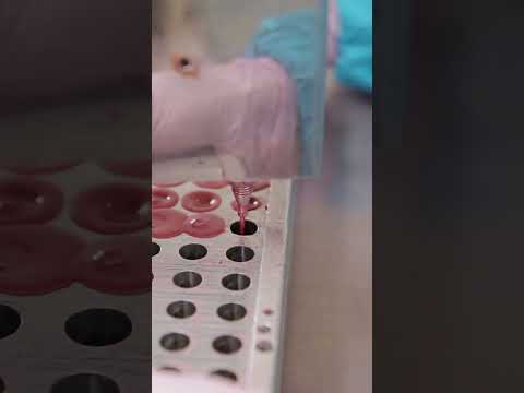 Multicolor natural bullet lipstick manufacturer, 4gm