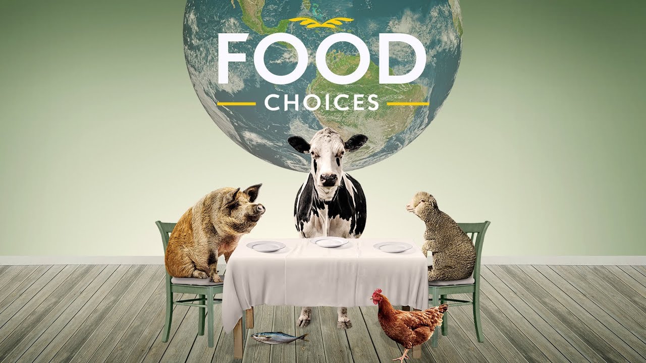 Miniature de la vidéo Food Choices (TRAILER) du film Food Choices