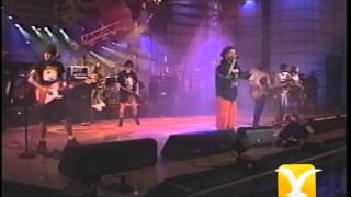 Los Pericos, Me late, me late, Festival de Viña 1995