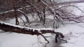 preview picture of video 'Cross Country Skiing Little Lake Midland Ontario'