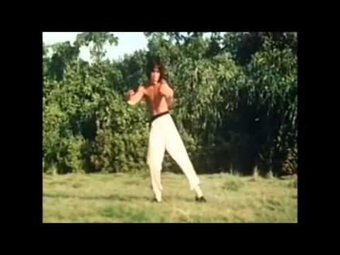 Drunken Master - The 8 drunken gods (German)
