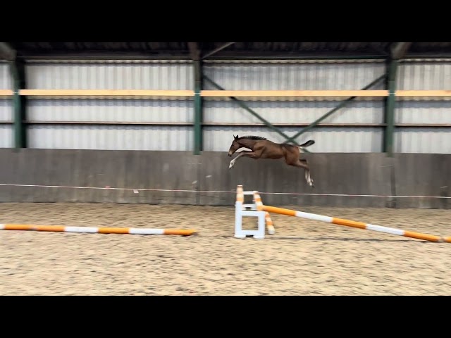 Jumping Movie Apart RV Z.