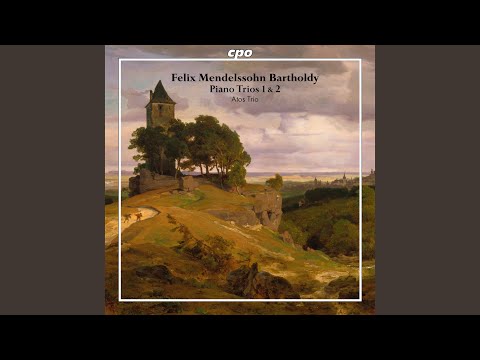 Piano Trio No. 1 in D Minor, Op. 49, MWV Q29: I. Molto allegro agitato