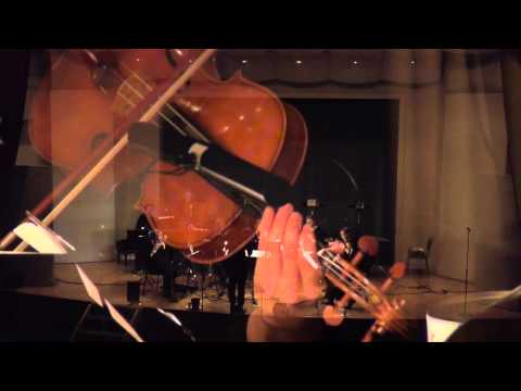 Johan Svensson - Ampèrian loops, part I. Performed by Mimitabu