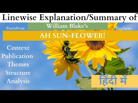 Ah Sun-flower! by William Blake line by line explanation in Hindi full summary analysis themes