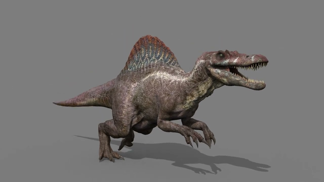 Suchomimus Mongolica - 8K animated JP3 Spinosaur 3D Model