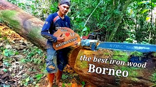 Download lagu TERBENGKALAI DI TEPI JURANG ||PENEMUAN KAYU ULIN DI PEDALAMAN HUTAN RIMBA KALIMANTAN !! mp3