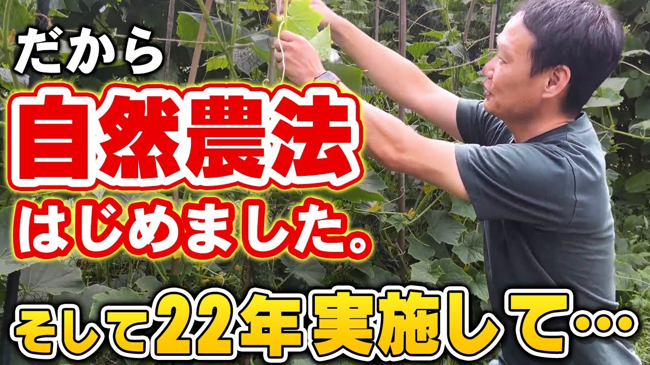 自然農法22年の歩みと普及への転換点