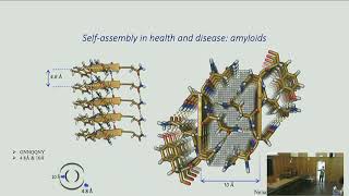 Hetero-typic interactions in the aggregated state: a new kingdom beyond the RIP?