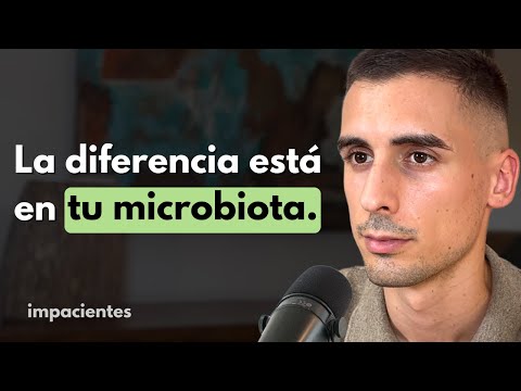 Azúcar vs Edulcorantes ¿Cuál es Mejor para tu Salud?