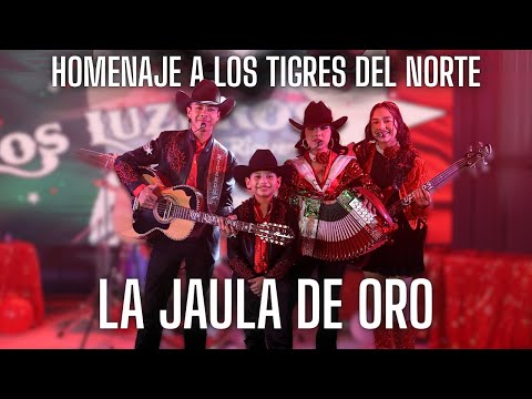 Los Luzeros De Rioverde - La Jaula de Oro | Homenaje a Los Tigres Del Norte