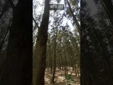 #seabeach#forest#bangladesh#viral