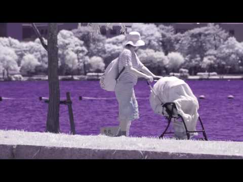 B+W 403 UV filter with Super Takumar F3.5 135mm lens