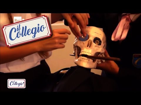 Marachelle in aula di matematica - Seconda puntata - Il Collegio