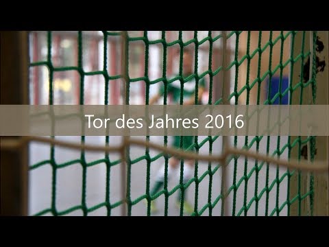 Tor des Jahres 2016