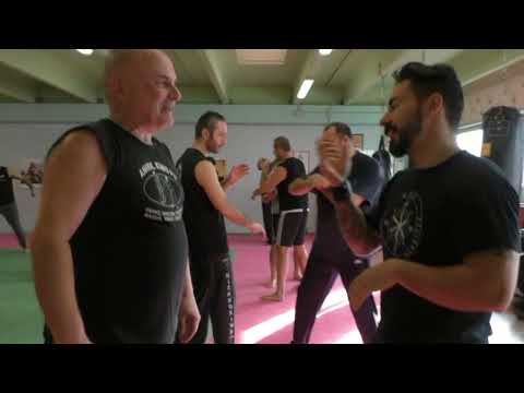 Bagua Shuai zhang and Kali Panagang technique