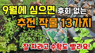 9월에 심는 추천작물 13가지 지금심으면 빨리 잘 자라고 수확도 빨라요