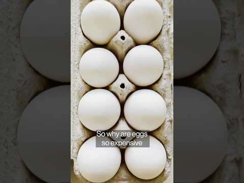Why We’re Still Shelling Out More for Eggs