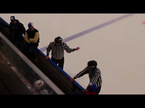 Pingviinit Kuninkaat (AA) - Kisa-Eagles (AA) 1.4.2018 11:00 - 2. erä