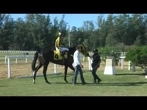 HIPODROMO SINT MELO - 220520 c04 1° CALLEJERO