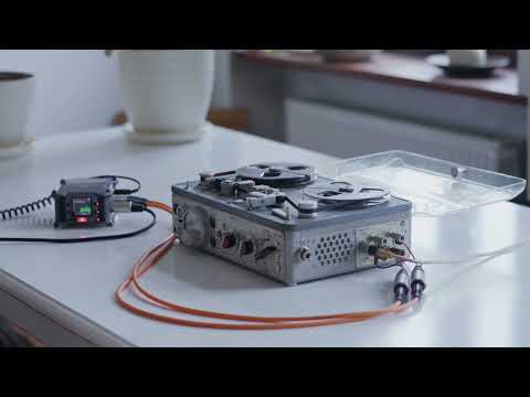 Field Recording of Thousands of Birds on Nagra