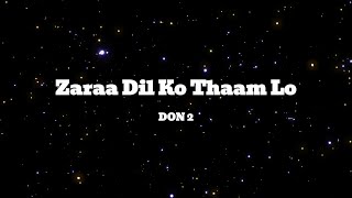 Download lagu Zaraa Dil Ko Thaam Lo Lyric English Translation | Don 2 | Fan/Sub Requested | SRK mp3