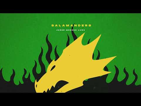 Salamanders (Warhammer 40,000 Theme)