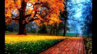 Dejó de Quererme Vicente Fernández