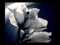Perry Blake, Song(s) for Someone - When I'm Over You