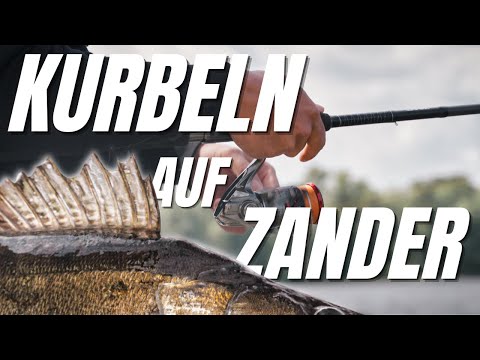 This is how every zander catches! 4K