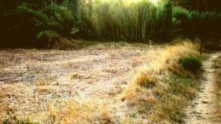 Neverglade - Trentemøller