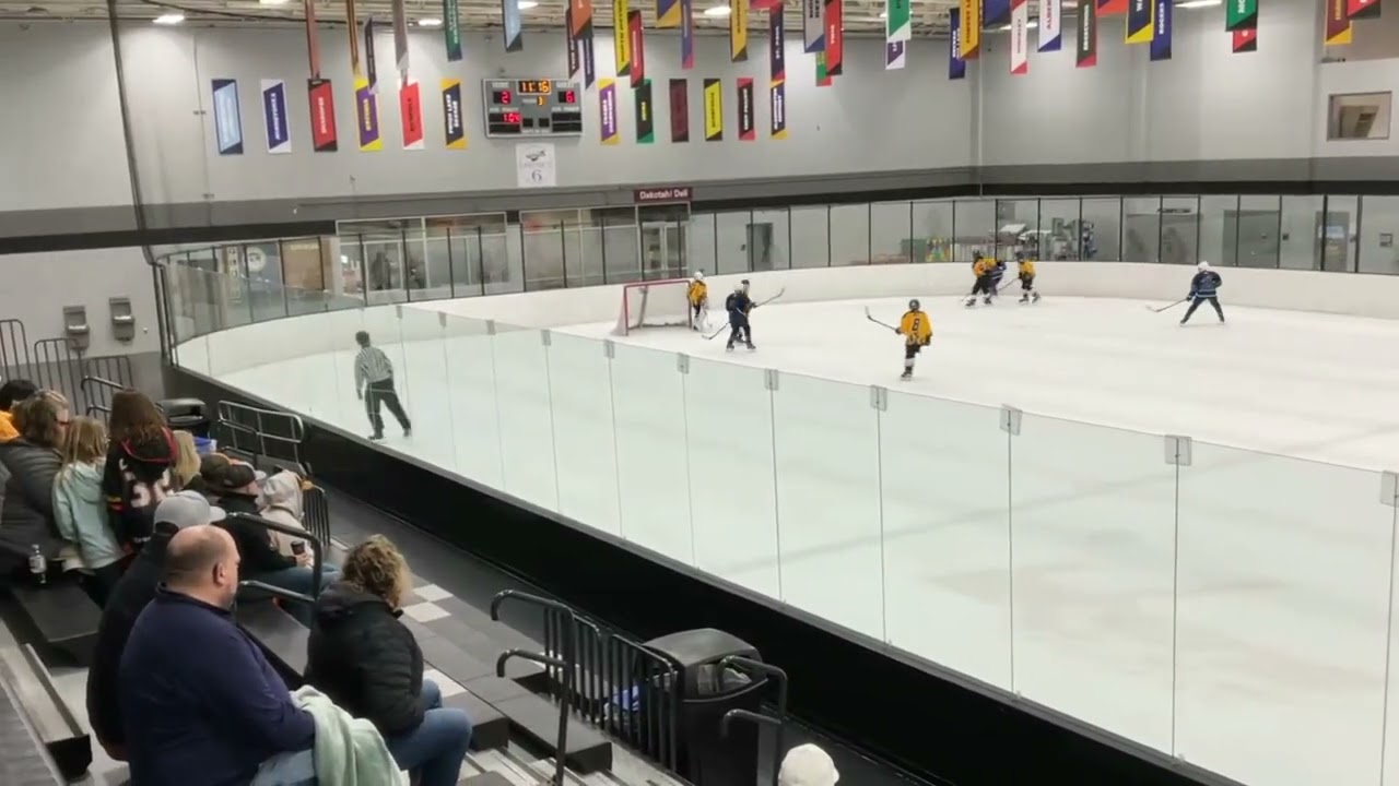 Game 2 (Stars and Stripes): Ethan Goal Theo Assisted