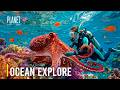 Explore the Ocean | Why Does Camouflage Become More Advanced the Deeper You Go into the Ocean?