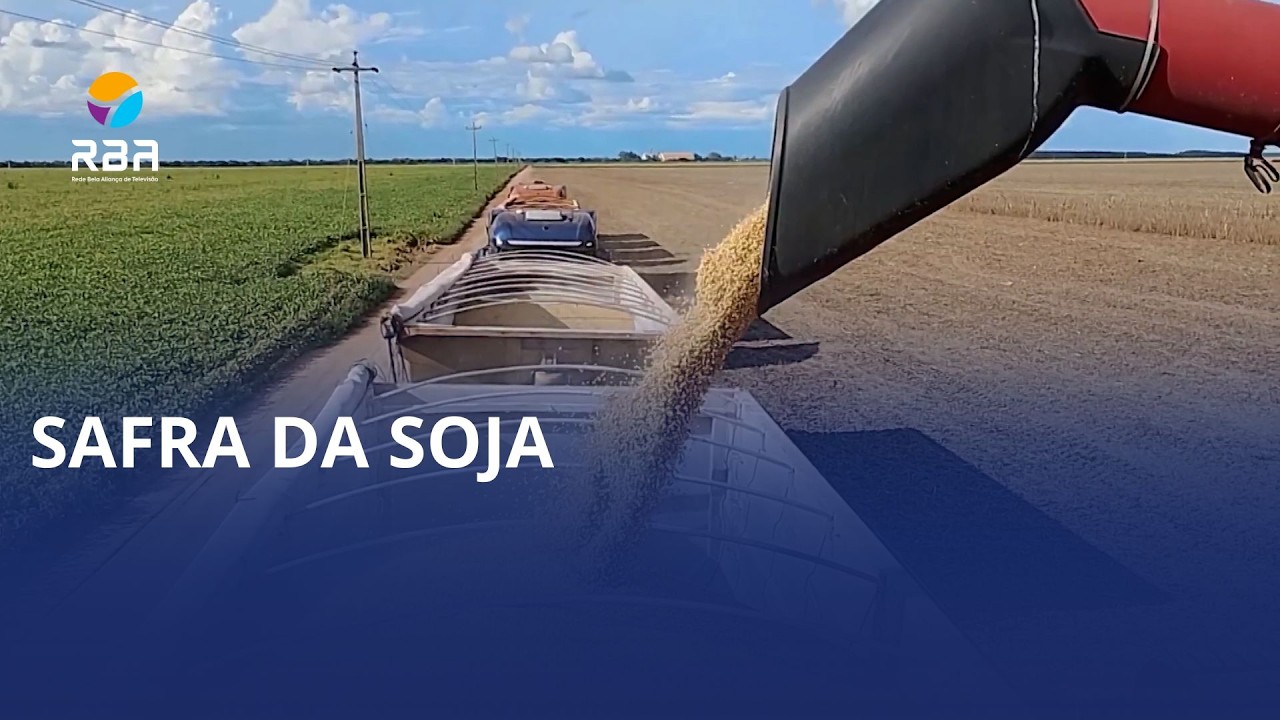 Soja mostra força mesmo com pressão da safra