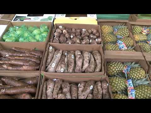 Bronx Regional Food Hub